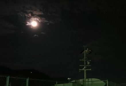 十五夜✧*｡ - 画像2