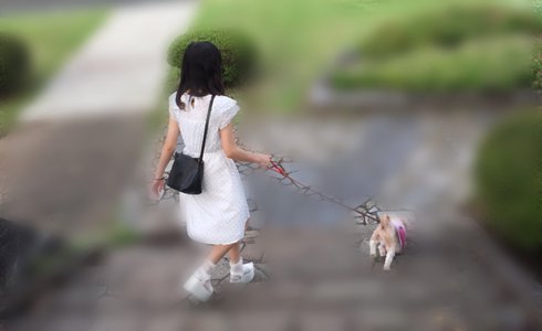 昨日のつづき - 画像2