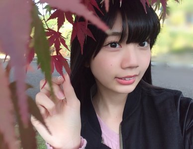 もみじ見つけました - 画像1