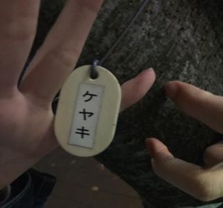 ケヤキ(・ω・)のサムネイル