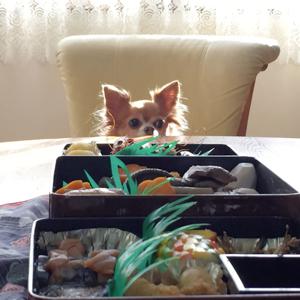 おせち...73のサムネイル