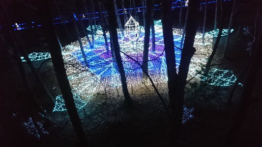 お正月 - 画像3