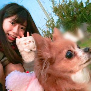 お散歩...75のサムネイル