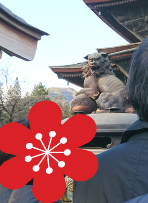 口の中から…のサムネイル