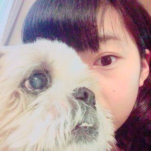 お散歩の前は - 画像1