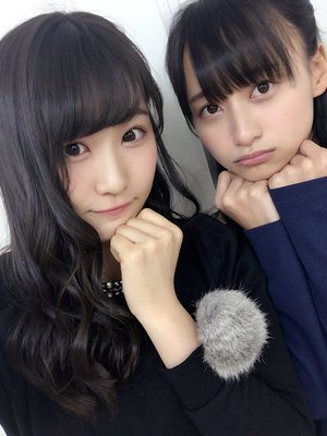 金木犀･:*:ピンクのチューリップとサボテン･:*:朝顔。❁ - 画像1