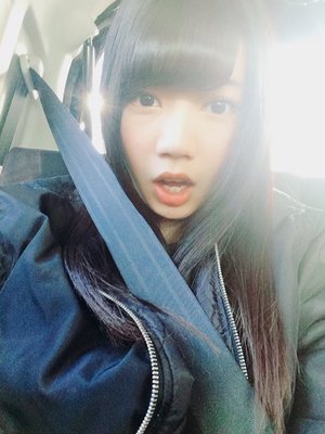 シートベルト - 画像1