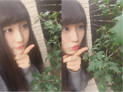 ありがとうございます!! 　そして季節の植物。のサムネイル