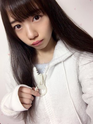 新企画 - 画像2