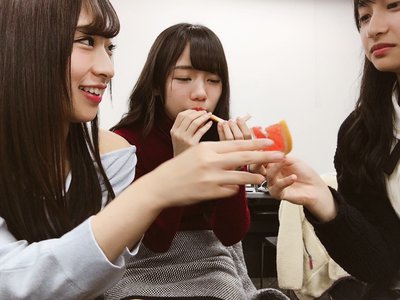 グレープフルーツだよ - 画像2