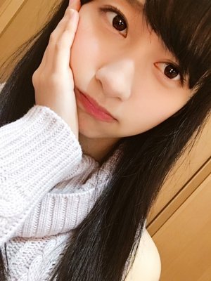 はなはさく。216。のサムネイル