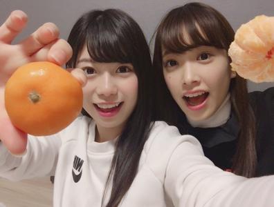 みかん...135のサムネイル