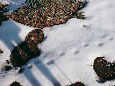 山をお散歩♡﻿ - 画像5
