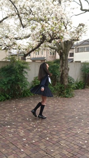 撮影 - 画像1
