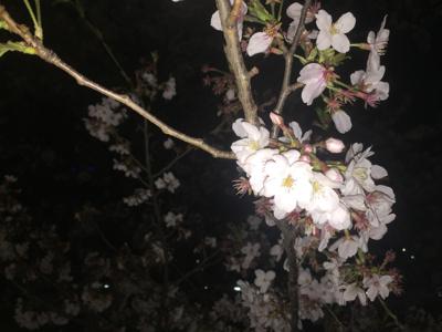 わしのサムネイル