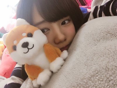 豆しばちゃん - 画像1