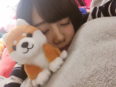 豆しばちゃん - 画像2