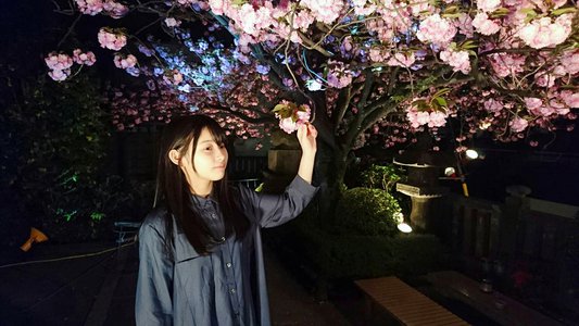 夜桜 - 画像3