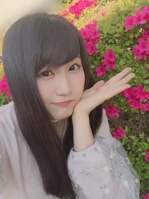 お花∗﹡のサムネイル
