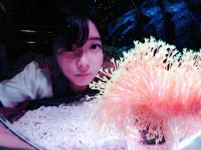 ウミウシちゃん - 画像5