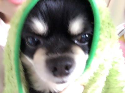 コーナーPART2( ・ω・)のサムネイル