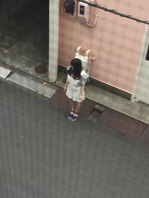 優雅のサムネイル