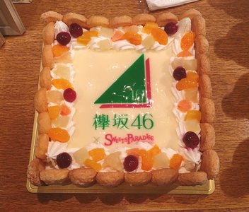 追加枠 - 画像6