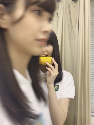 とうもろこし - 画像1