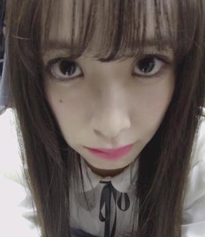 猫の - 画像5