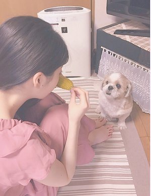 ごん - 画像3