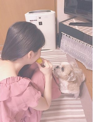 ごん - 画像4