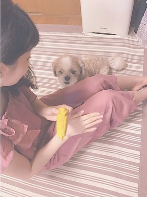 ごん - 画像5