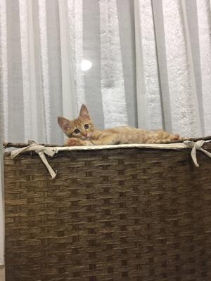 たらたらん。♥のサムネイル