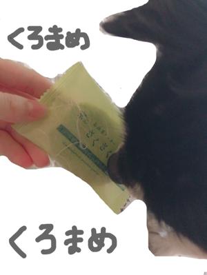 すごいこと( ・ω・)のサムネイル