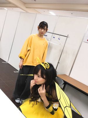 ミツバチと志田愛佳 - 画像2