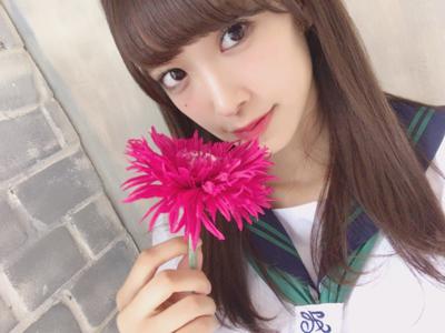 くまさんくっきーのサムネイル