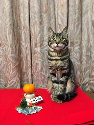 今年の目標のサムネイル