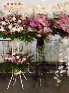 武道館‼︎ 宮田愛萌 - 画像3