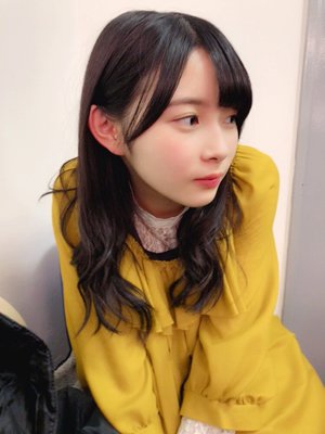 ヒメシャラのサムネイル