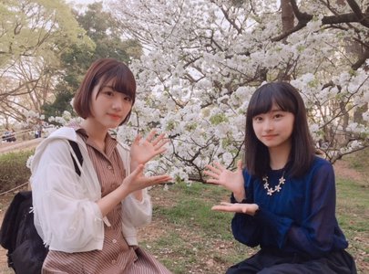 さくら。561。のサムネイル