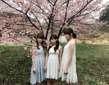 UTB+ - 画像1