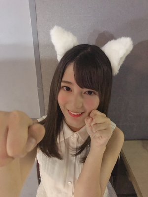 🐱 - 画像11