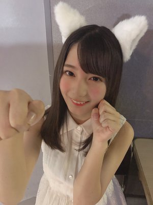 🐱 - 画像12