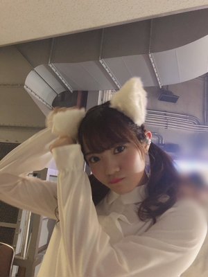 🐱 - 画像13