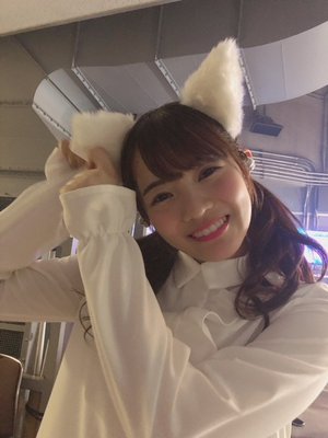 🐱 - 画像14