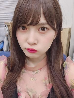 としちゃんからのお願い(・ω・) - 画像2