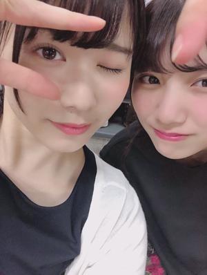 おはなおさかなのサムネイル