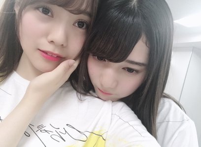 似ているような、違うような - 画像3