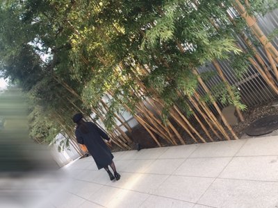 鶏頭。 - 画像2