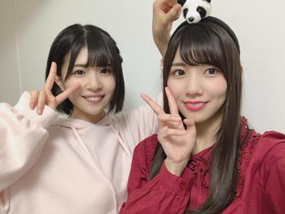 このちゃんが隣にいますパート2のサムネイル